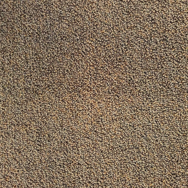 Starry STR03 - ECOSIS Roll Carpet 진브라운 롤카펫  고급 방염 카페트 1m2